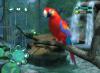 Zoo Hospital - Wii