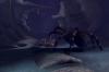 Deadly Creatures - Wii