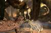 Deadly Creatures - Wii