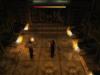 Indiana Jones et le Sceptre des Rois - Wii
