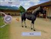 Horse Life : Amis pour la vie - Wii