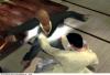 The Matrix : Path of Neo - Xbox