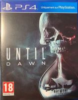Until Dawn