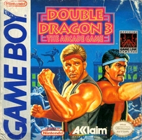 Double Dragon 3 : The Arcade Game (Usa)