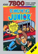 Donkey Kong Junior