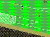 FIFA International Soccer - Brésil - Master System