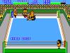 Pro Wrestling - Usa  - Master System
