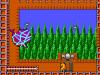 The New Zealand Story - Master System